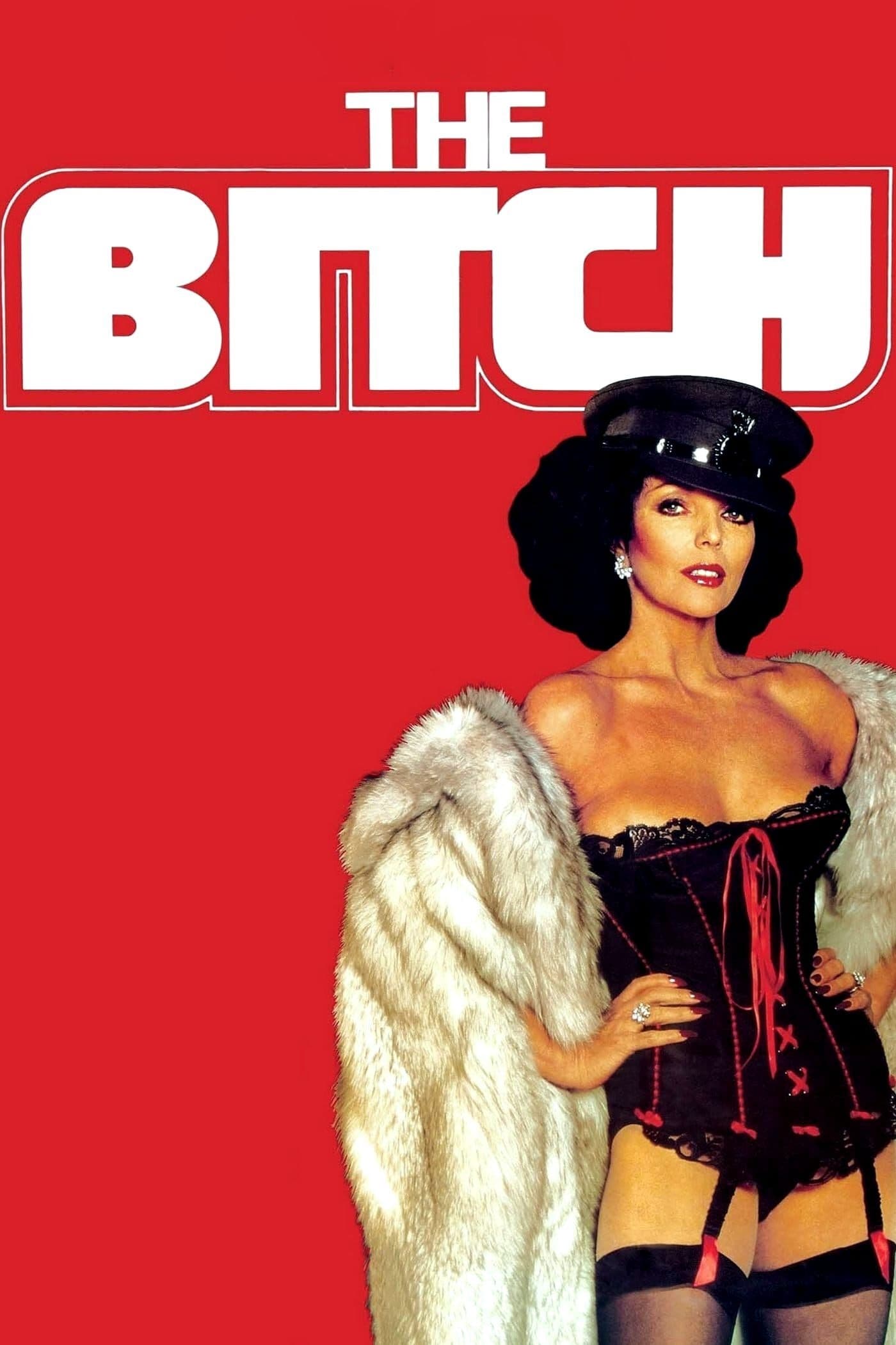 Постер The Bitch